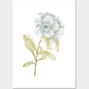 Blue flower Posters and Art